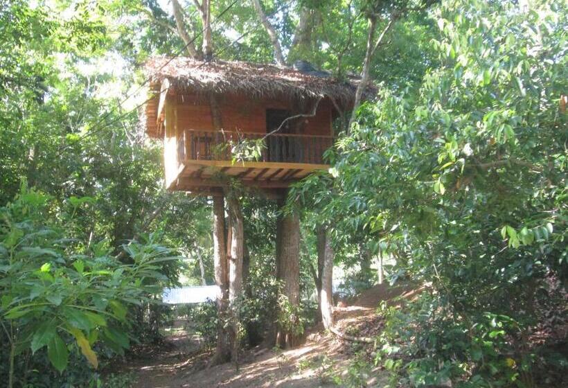 בקתת סופריור בת חדר 1, Abberny Villa