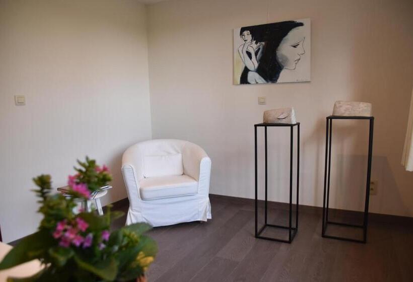 Номер Стандарт, Rectoversovv