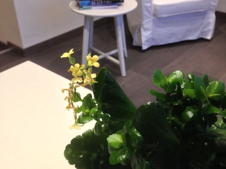 Номер Стандарт, Rectoversovv