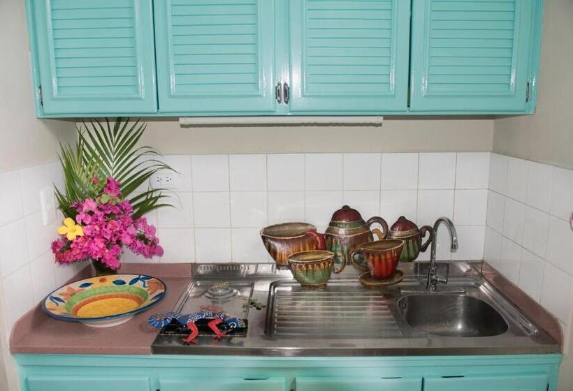 آپارتمان 1 خوابه, El Pelicano Apart