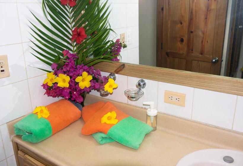 آپارتمان 1 خوابه, El Pelicano Apart