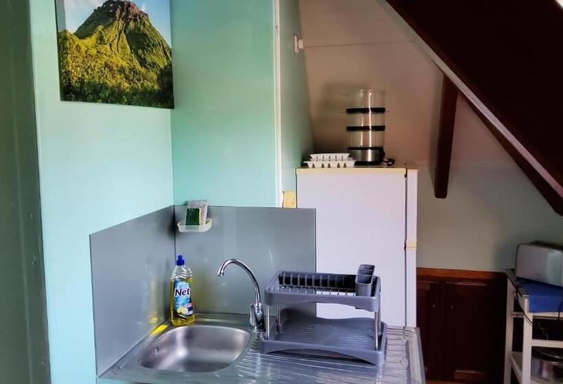 آپارتمان 1 خوابه با چشمانداز دریا, Appartement Les Bougainvilliers Vue Mer