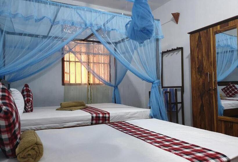 اتاق سوپریور سه تخته, Shasee Rest Mirissa