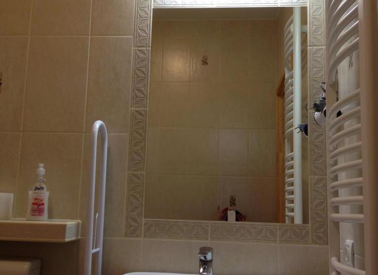 身障者適用スタンダードルーム, Vidor Vendégház