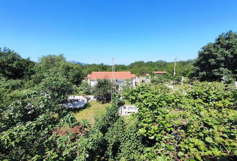 آپارتمان 1 خوابه با چشم‌انداز, Apartments And Rooms Minex