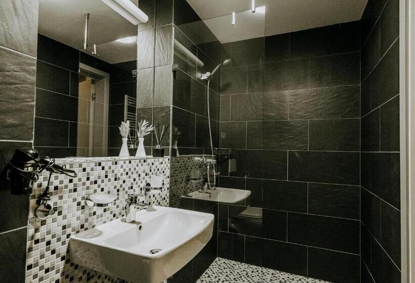 غرفة قياسية, Penzión Banský Dom