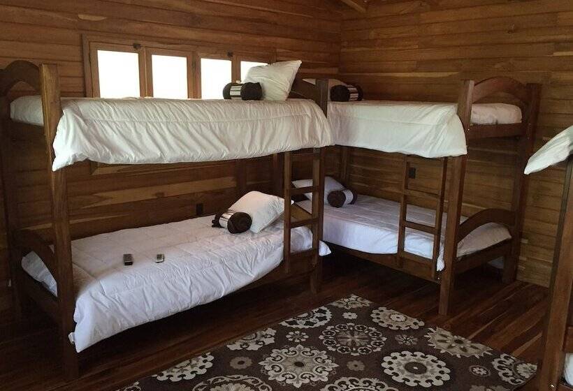 ルームシェアのワンベッド, Casa Aura: Beachfront Premium Hostel