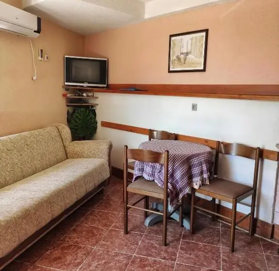 آپارتمان 1 خوابه, Apartments Gvozdenović