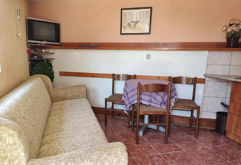 آپارتمان 1 خوابه, Apartments Gvozdenović