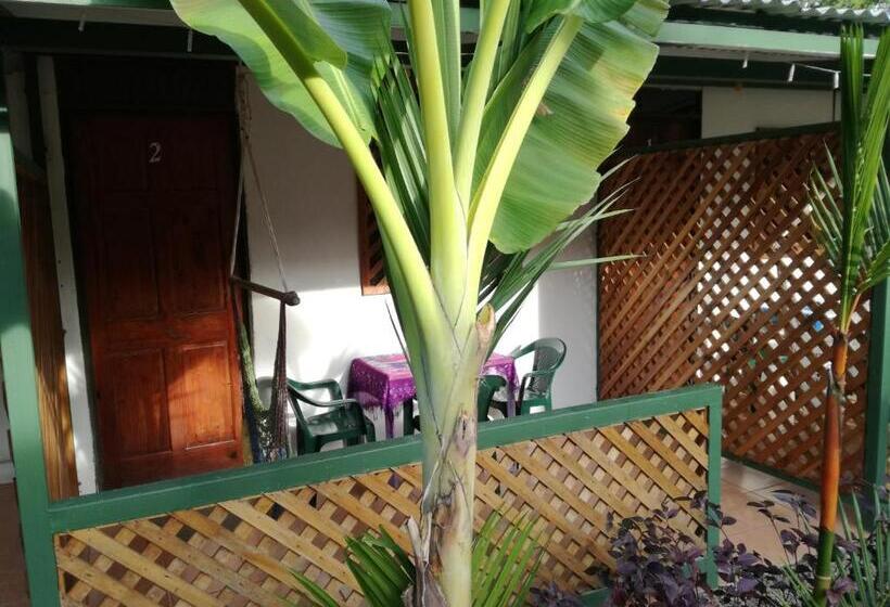 חדר סטנדרט לארבעה, Casitas La Playa