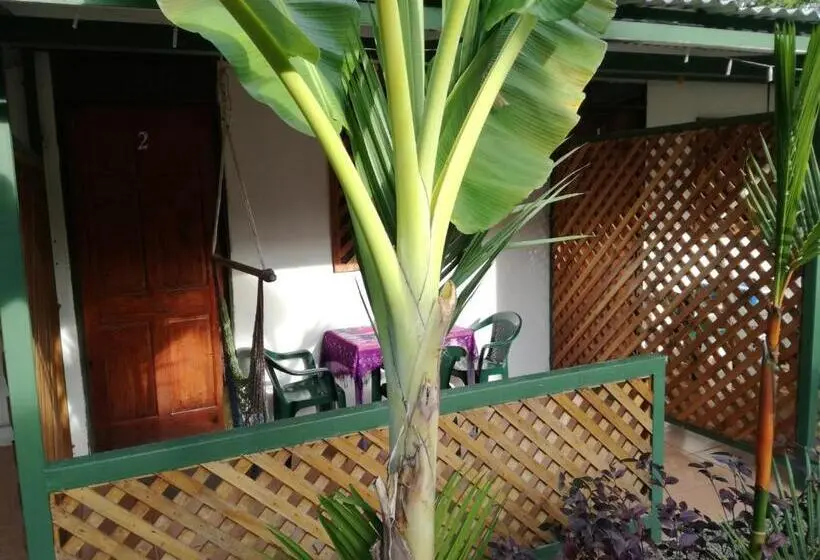 اتاق استاندارد چهار تخته, Casitas La Playa
