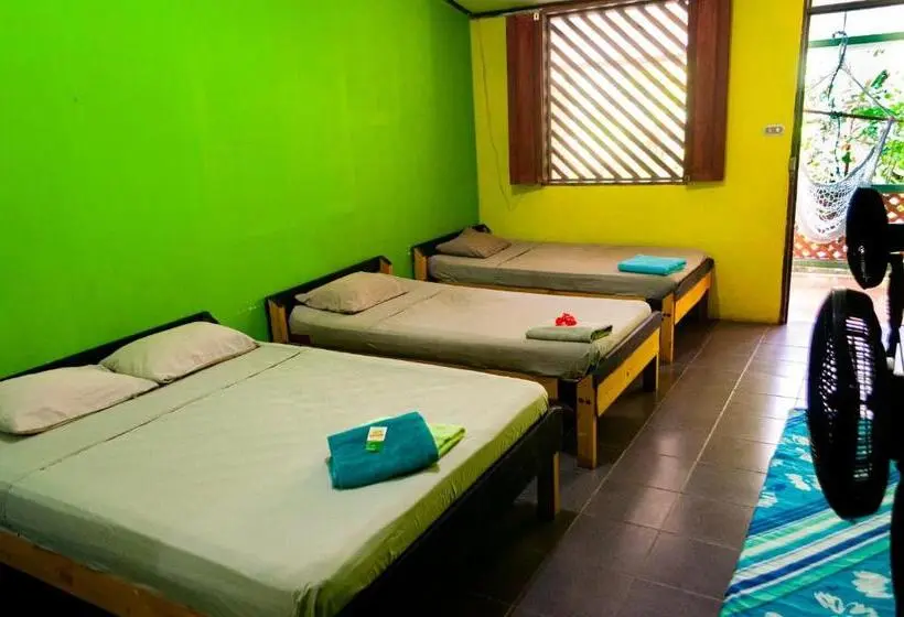 اتاق استاندارد چهار تخته, Casitas La Playa