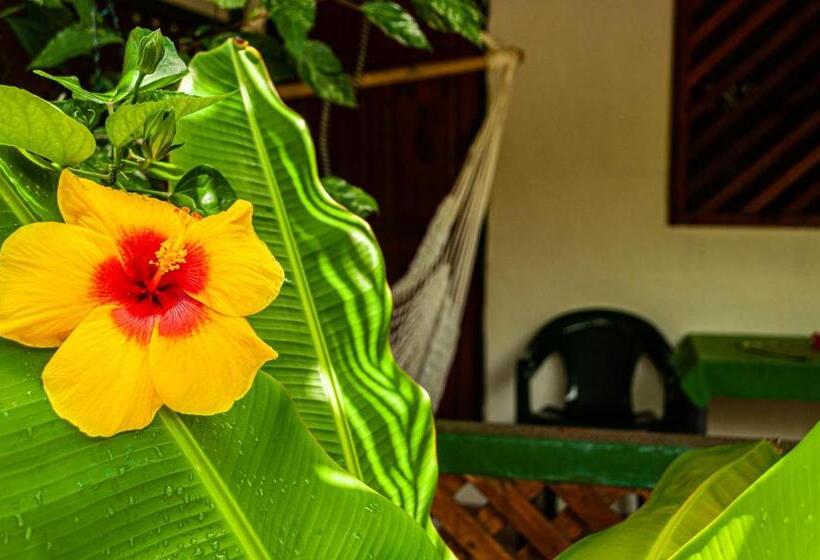 חדר סטנדרט לארבעה, Casitas La Playa