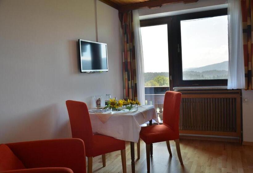 Номер Стандарт с Балконом, Erlebnishaus Spiess