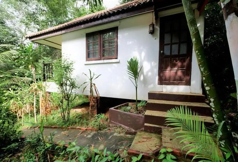 بانگلوی استاندارد با چشم‌انداز دریا, Poseidon Bungalows