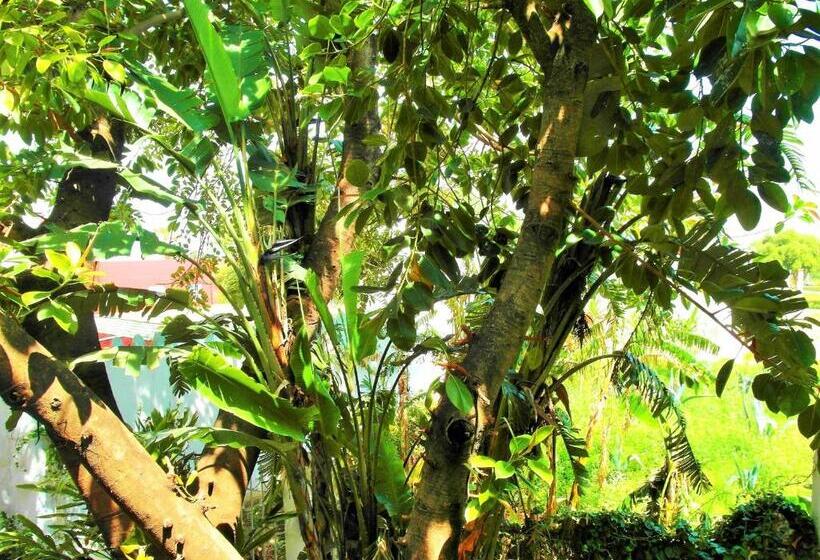 اتاق استاندارد سه نفره, Patio De La Luna