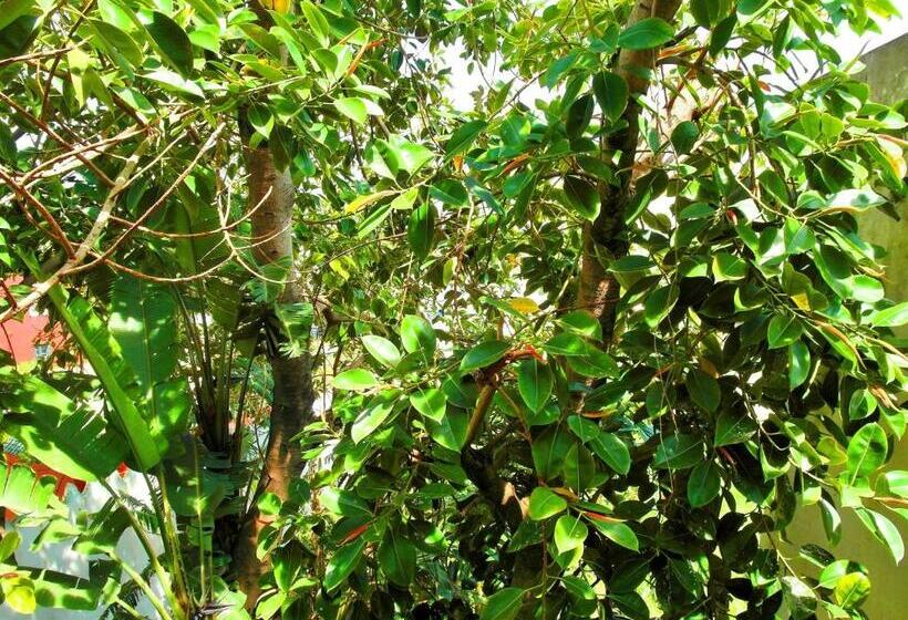 اتاق استاندارد با تراس, Patio De La Luna