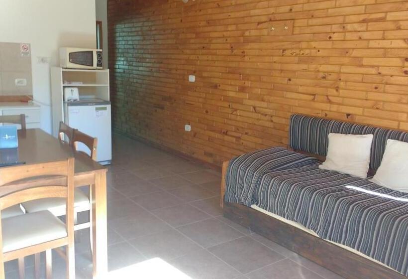 １階の１ベッドルームアパートメント, Apart Dry Fly