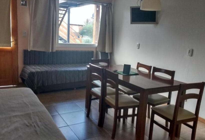 １階の１ベッドルームアパートメント, Apart Dry Fly