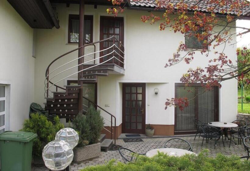 آپارتمان 1 خوابه, Apartment Sobe Ravbar