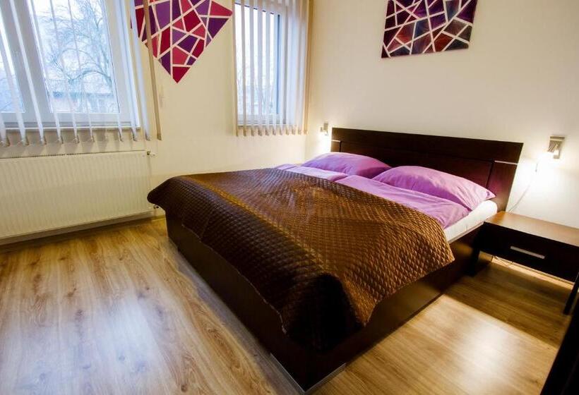 شقة غرفة واحدة مزودة بتراس, Sentami