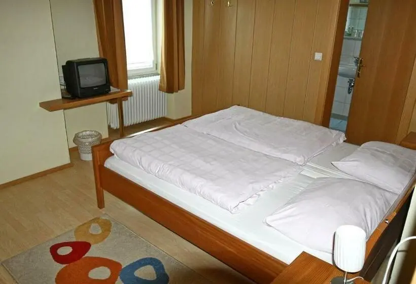 Standard-huone, Stiftsgasthof Hochburg