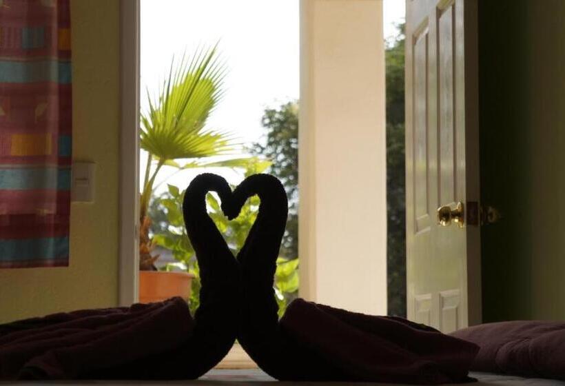 Номер Стандарт, Posada Tolteca