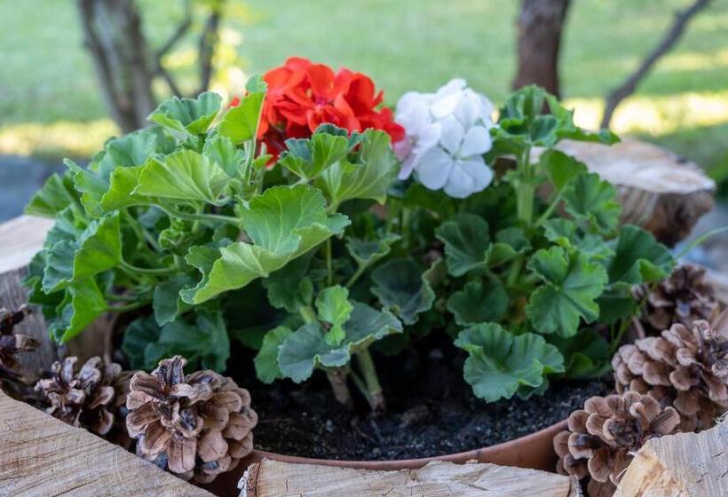 דירת חדר דלוקס, Penzion Na Vyhlídce