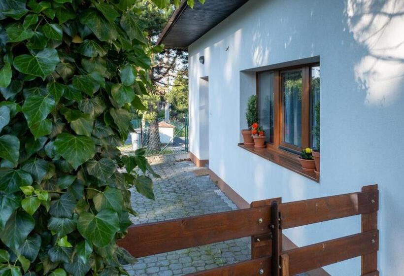 דירת חדר עם טרסה, Penzion Na Vyhlídce