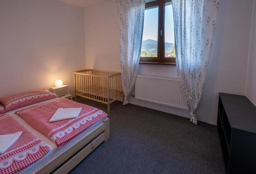 דירת חדר דלוקס, Penzion Na Vyhlídce