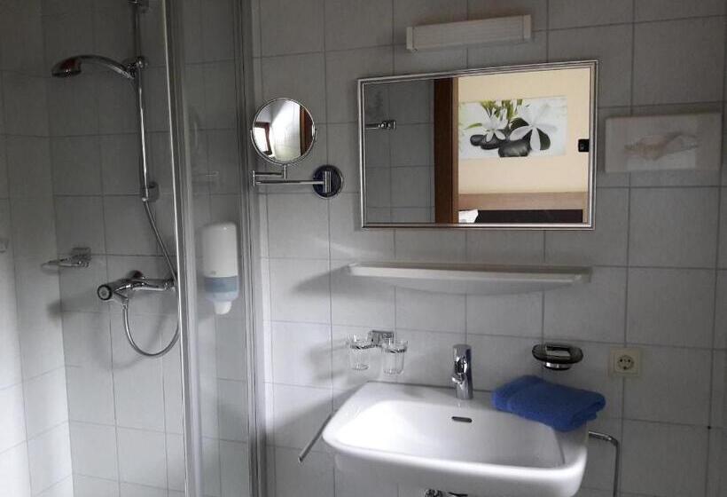 غرفة قياسية, Pension Alfenz