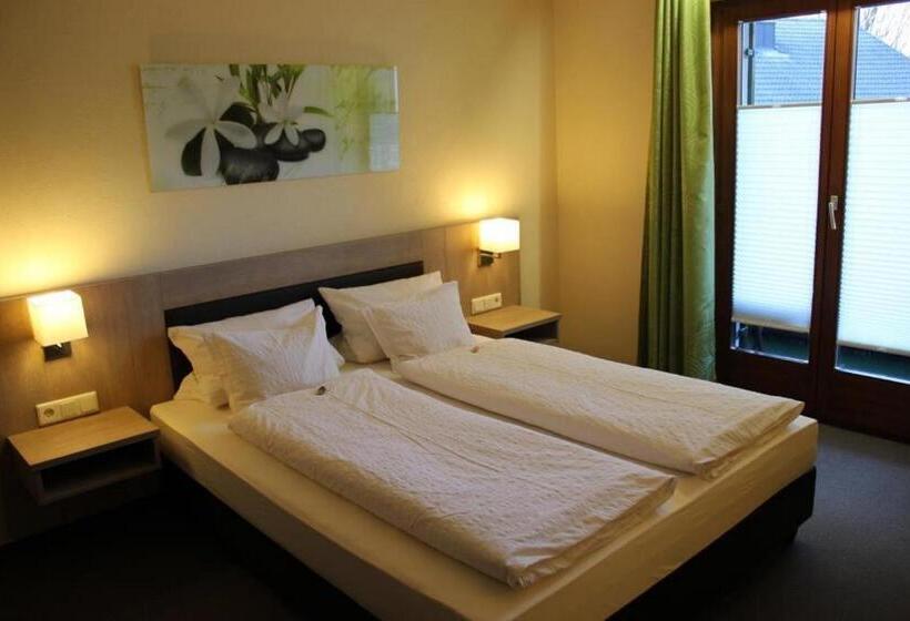 Номер Стандарт, Pension Alfenz