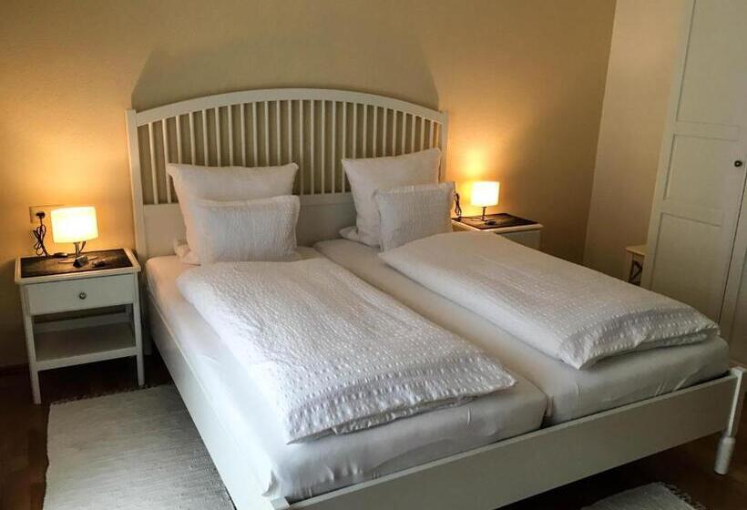 شقة غرفة واحدة, Pension Alfenz