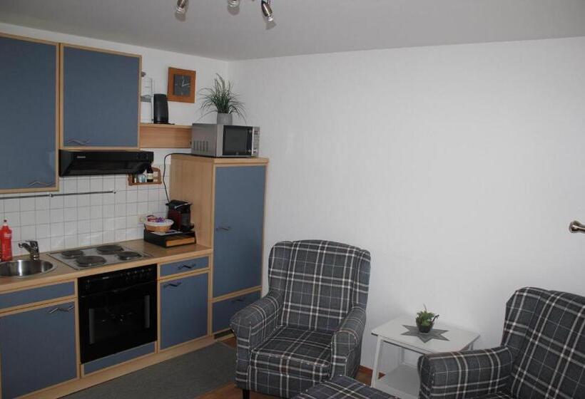 شقة غرفة واحدة مزودة بتراس, Pension Alfenz