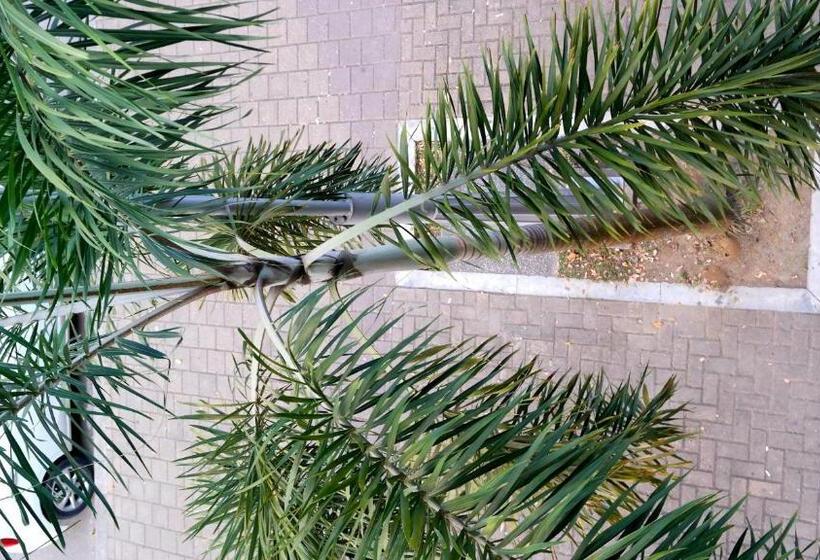 Номер Стандарт, Sama