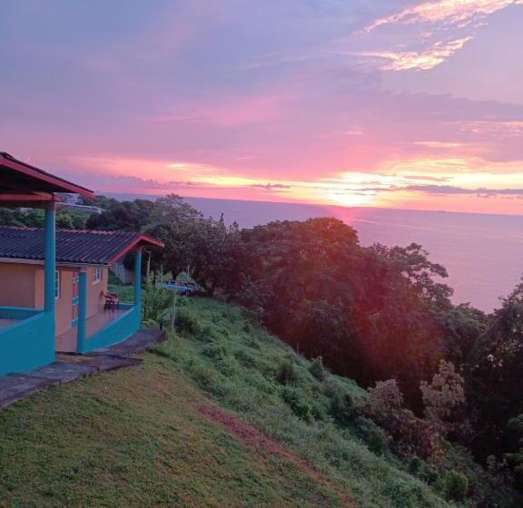 패밀리 룸, Rancho Juancho