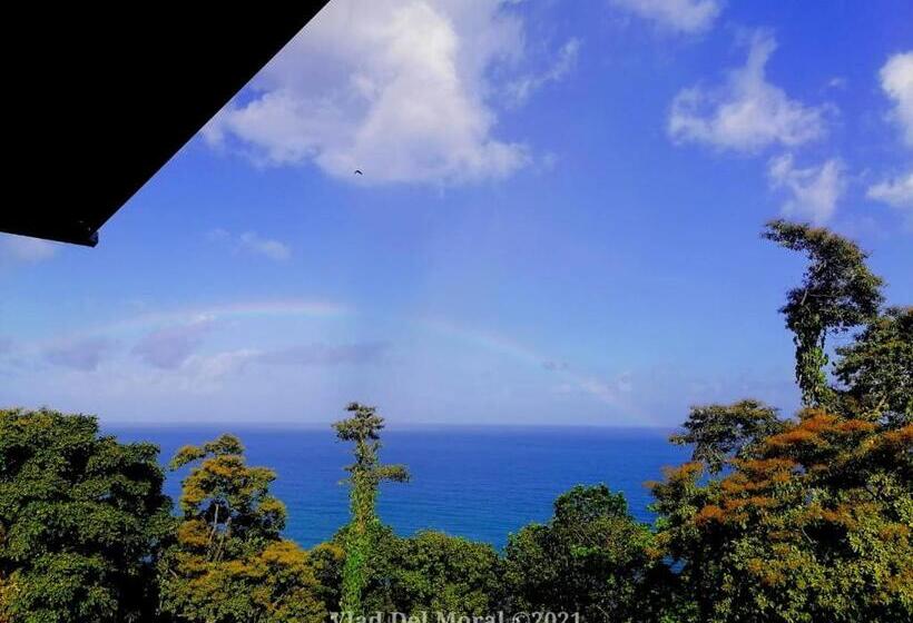 패밀리 룸, Rancho Juancho