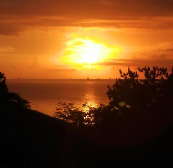 패밀리 룸, Rancho Juancho