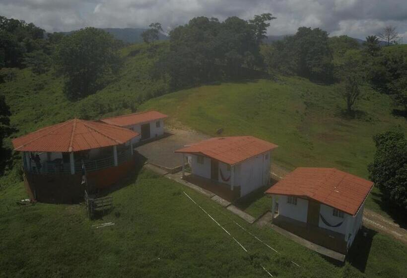 패밀리 룸, Rancho Juancho