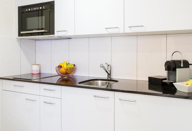 Номер Стандарт Индивидуальный, Apartmenthaus Zum Trillen Basel City Center