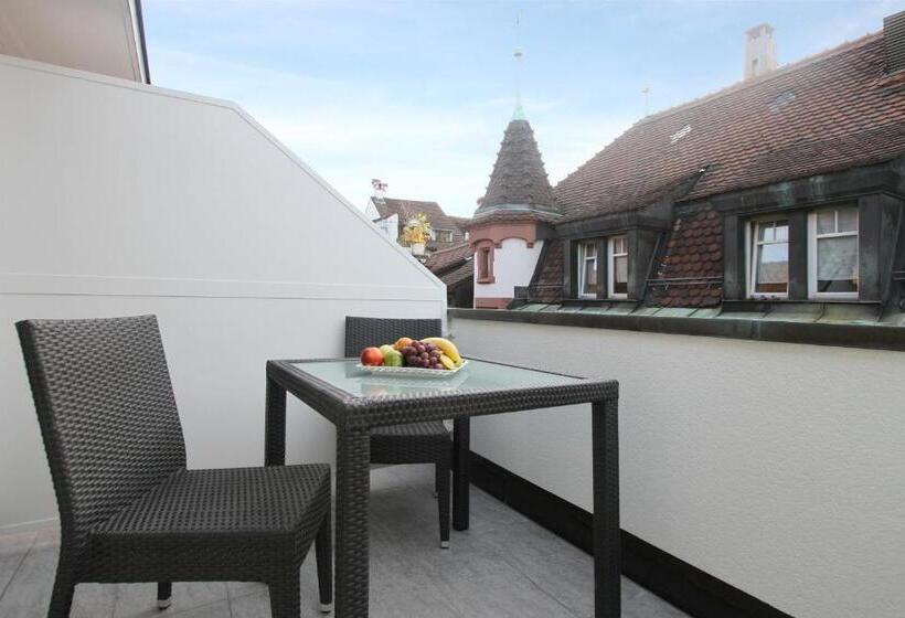 Апартаменты Executive 1 Спальня, Apartmenthaus Zum Trillen Basel City Center