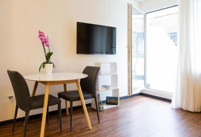 Апартаменты Executive 1 Спальня, Apartmenthaus Zum Trillen Basel City Center