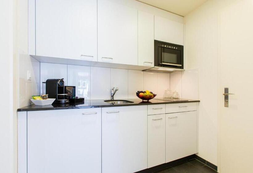 Апартаменты Executive 1 Спальня, Apartmenthaus Zum Trillen Basel City Center
