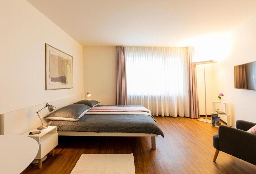 Апартаменты 1 Спальня, Apartmenthaus Zum Trillen Basel City Center