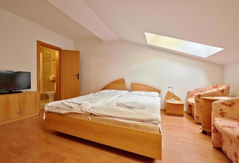 غرفة قياسية, Penzión A Reštaurácia U Jeleňa