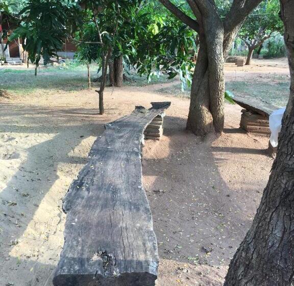 سوئیت جونیور با چشم‌انداز باغ, The Summer Corridor   Kataragama
