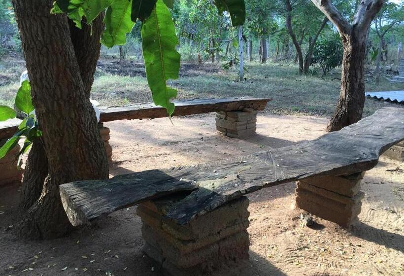 Juniorsvit Trädgårdsutsikt, The Summer Corridor   Kataragama