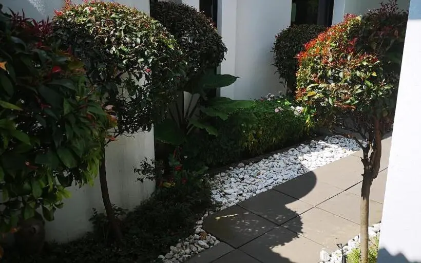 Deluxe-huone, 21 Kingfisher Guesthouse