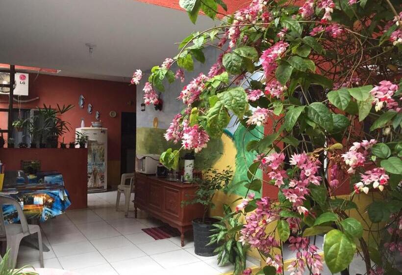 Кровать в Общей Комнате, Pousada Da Didi