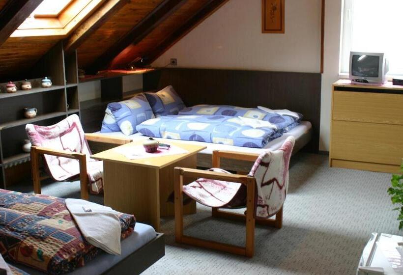 4인용 스탠다드 룸, Pension U Vlášků